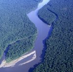 Forêt fluviale - Strickland river, Papouasie Nouvelle-Guinée - Y. Roisin